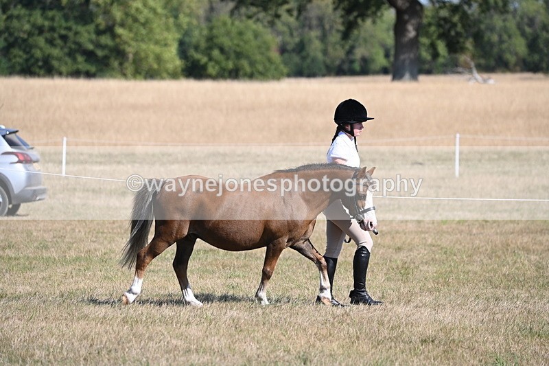 WJ6_7402 - Class 34 Judges Choice