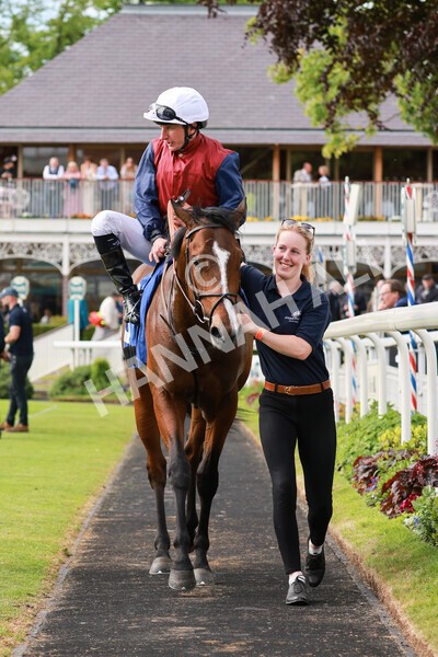 yr21052022r5-37 - Race 5: 4:07pm Phoebe Johnson Celebration EBF Restricted Novice Stakes