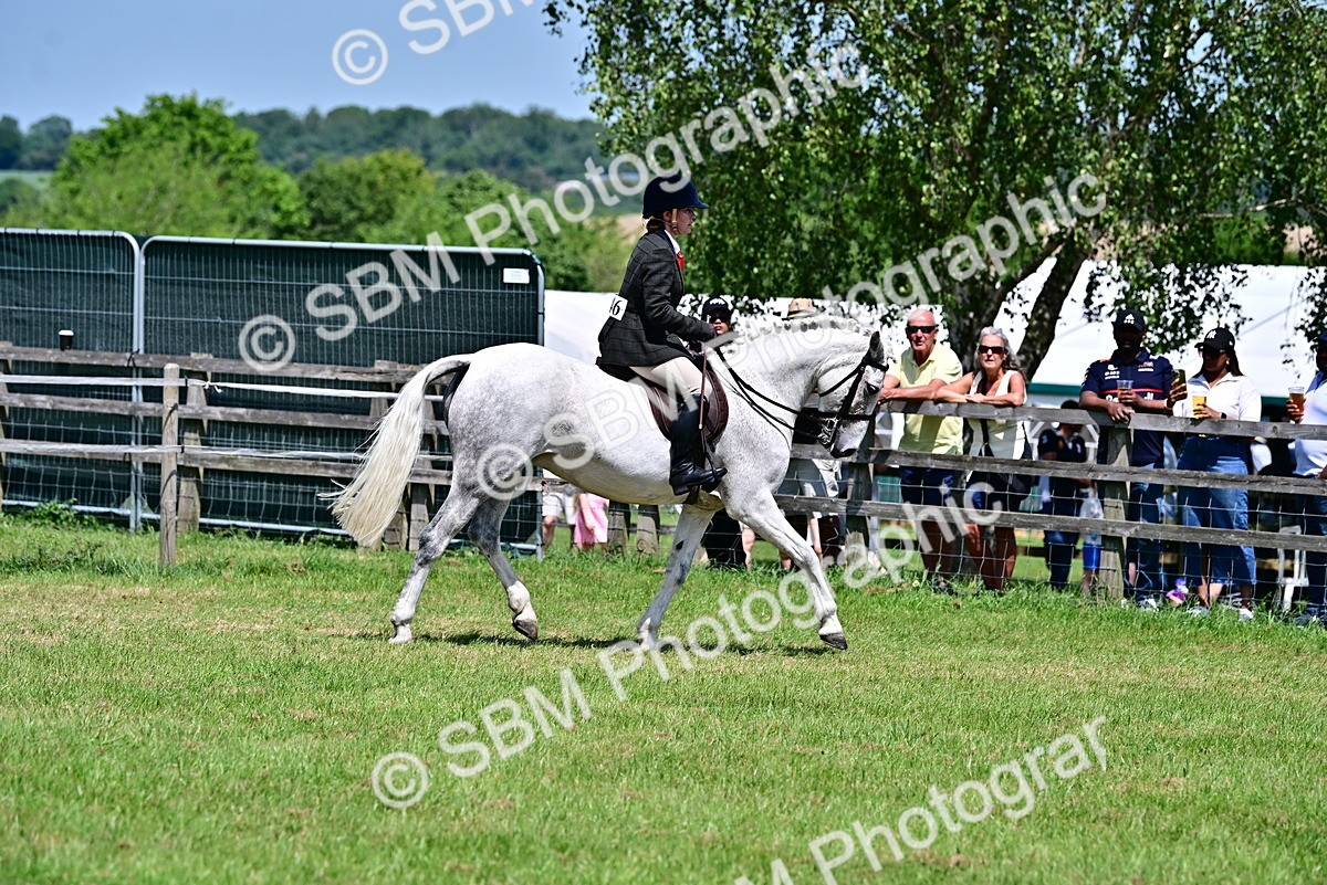 SBM_17384 - Class 95-97 - BSPS LHS Performance Ponies