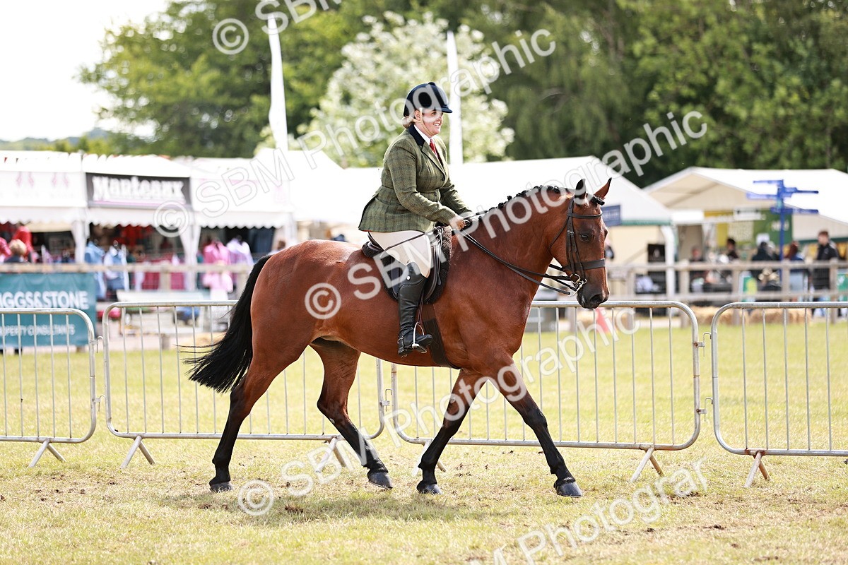 SBM_14511 - Class 88-89 - LIHS BSHA Rising Star of Ridden Hunter Type