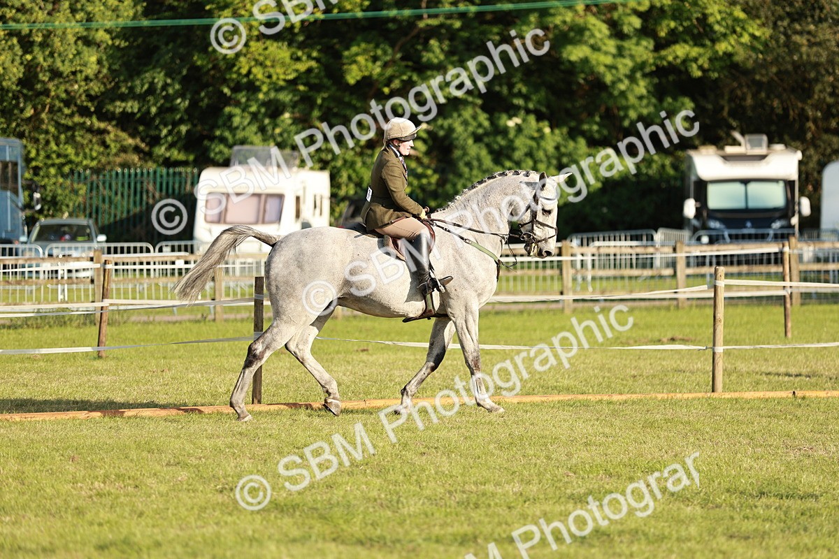 SBM_20446 - Class 117-119 - Sport Horse Working Hunter