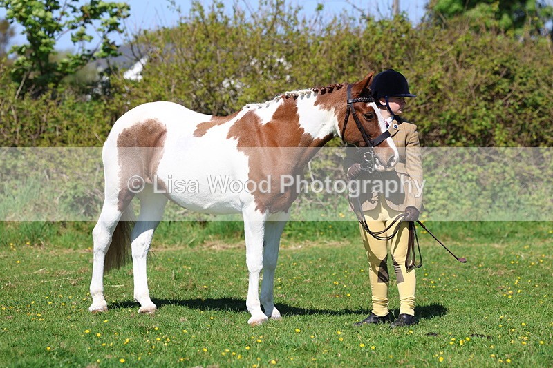 3E7A9849 - Class 17: Young Handler
