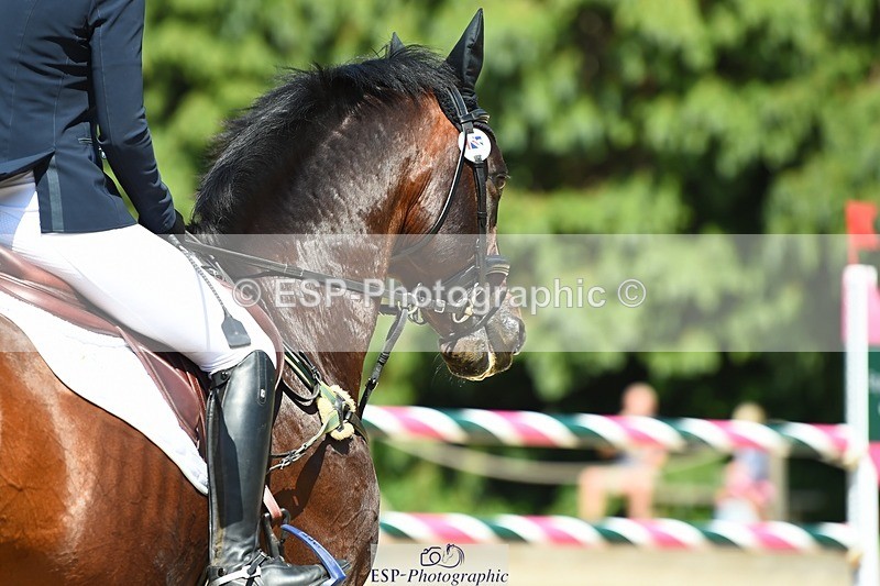 230527-150932-11447 - 413-BRITANNIA'S_MAIL-Ellie_Fredericks-SJ