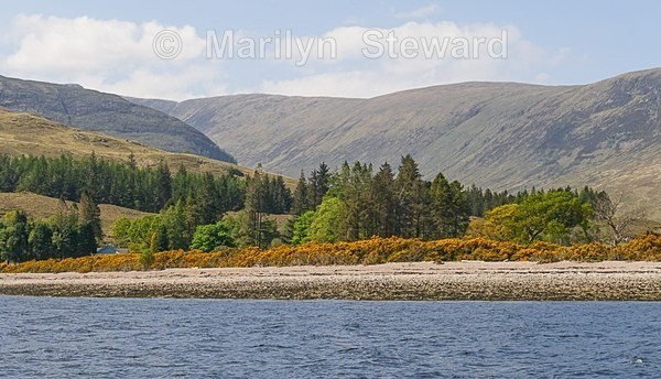 Loch Linnhe-4 - Scotland