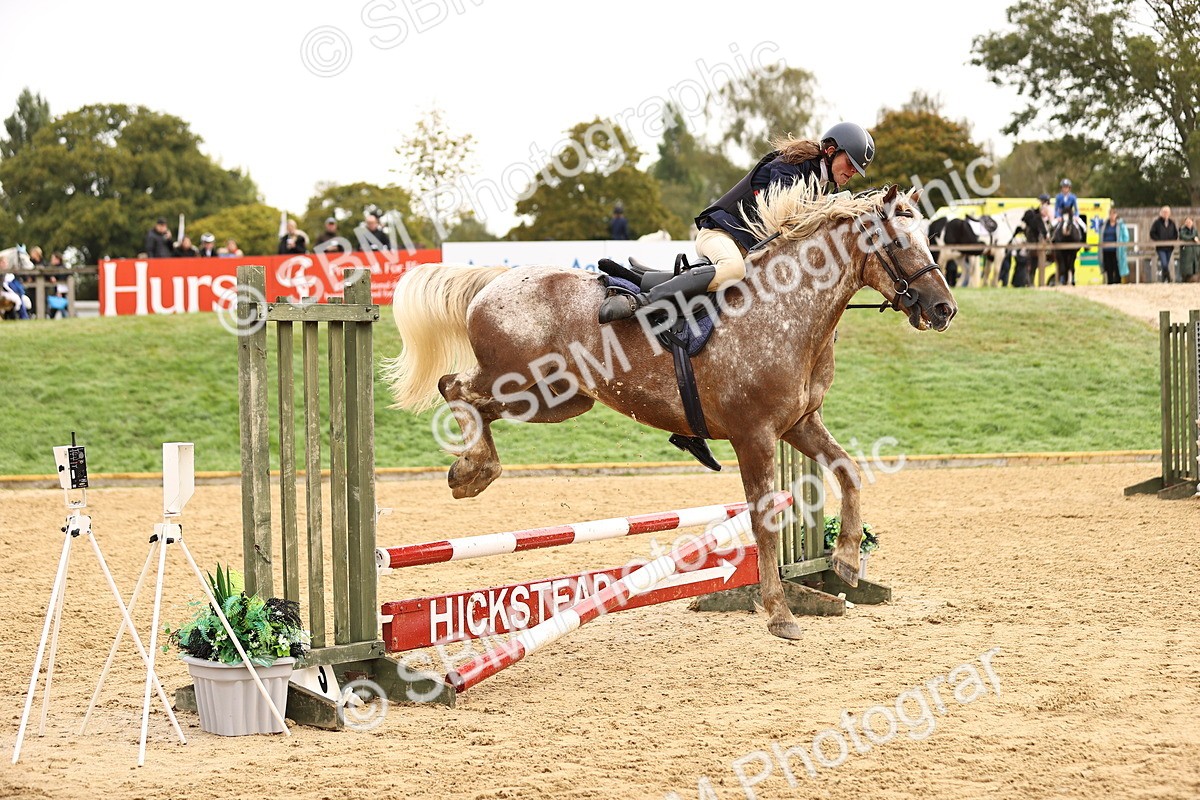 SBM_58409 - J41 - Grand Tour Horse & Pony 95cm