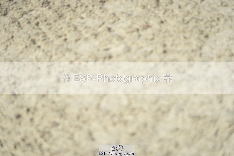 230909-122500-05659 - Cls 17 Snr 1.05m Open