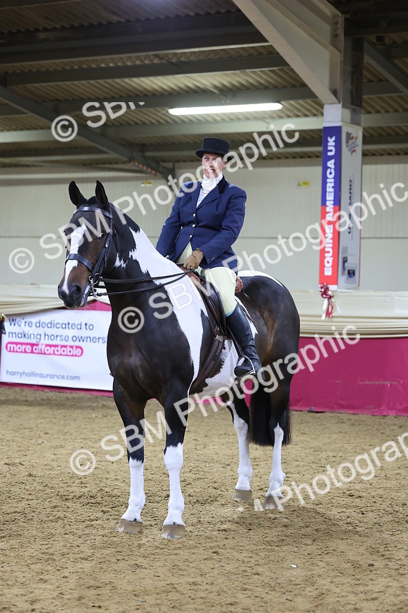 SBM_19157 - Class I Competition/ Riding Club Champ