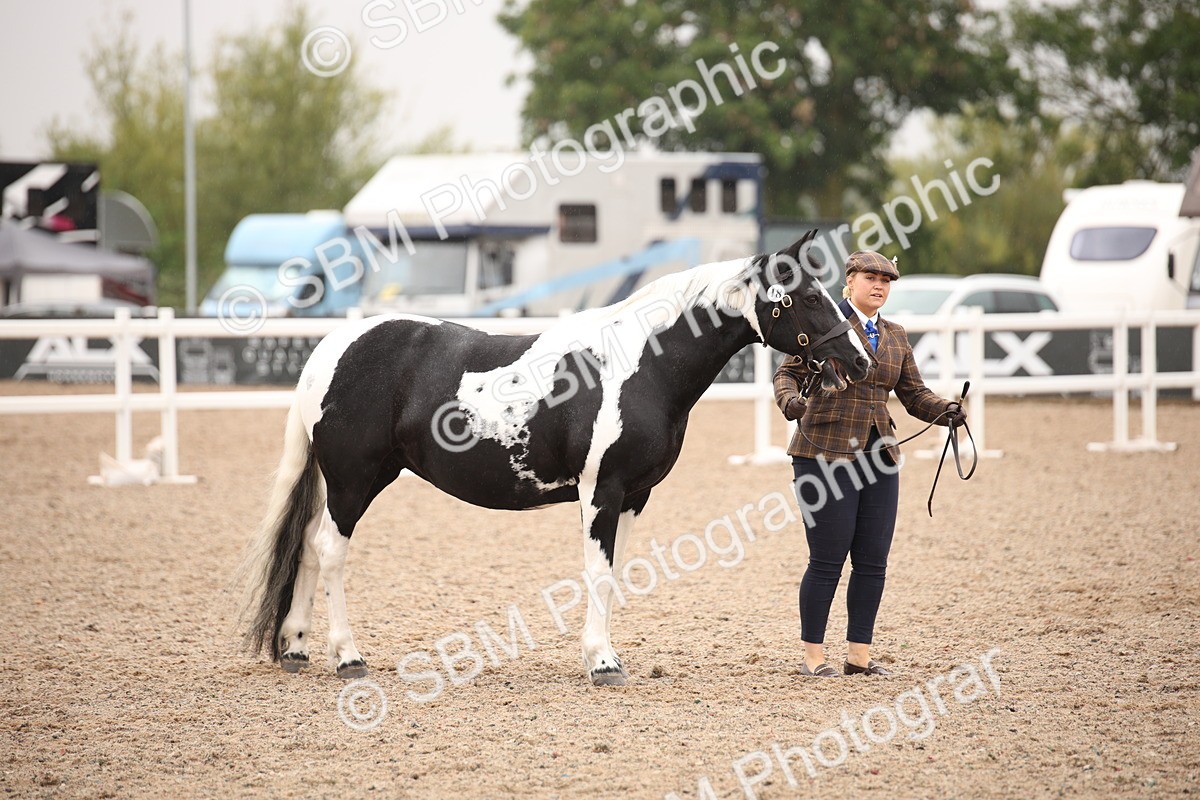 SBM_20178 - Class 703 - IH  Coloured