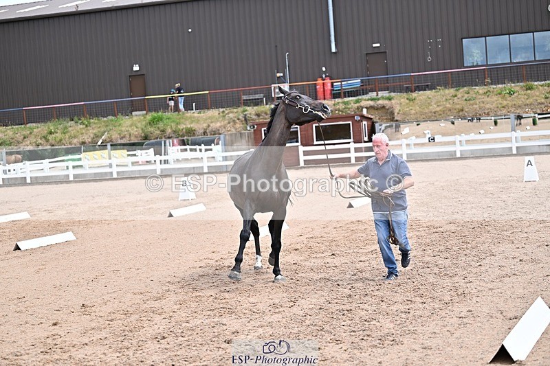 250716-130659-00340 - Trot Up 12.30 to 1.30