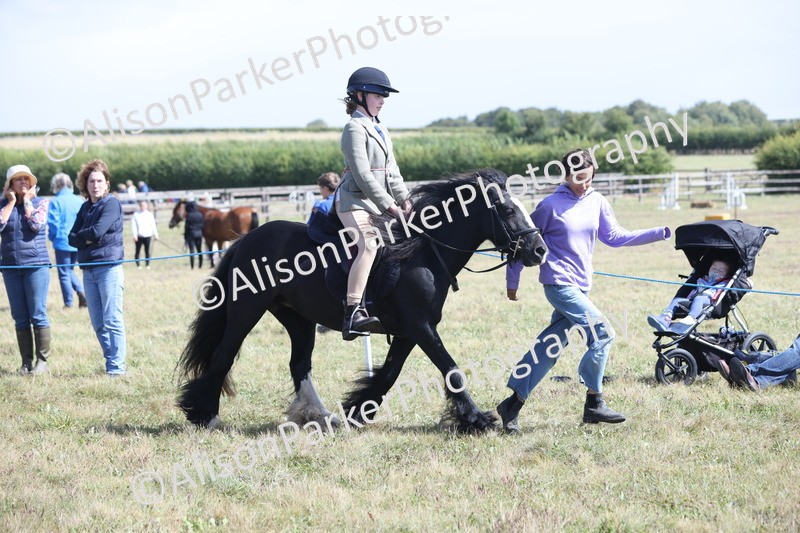 20250831-2814 - Class 18 - Childs First Pony