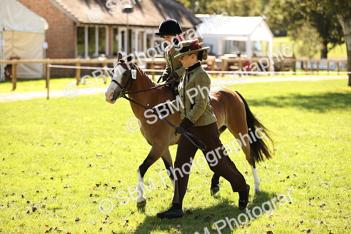 SBM_19290 - S3 - TSR Ridden Pony Showing