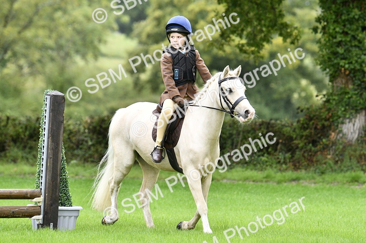SBM_35458 - S30 - Nursery Stakes Working Hunter Pony