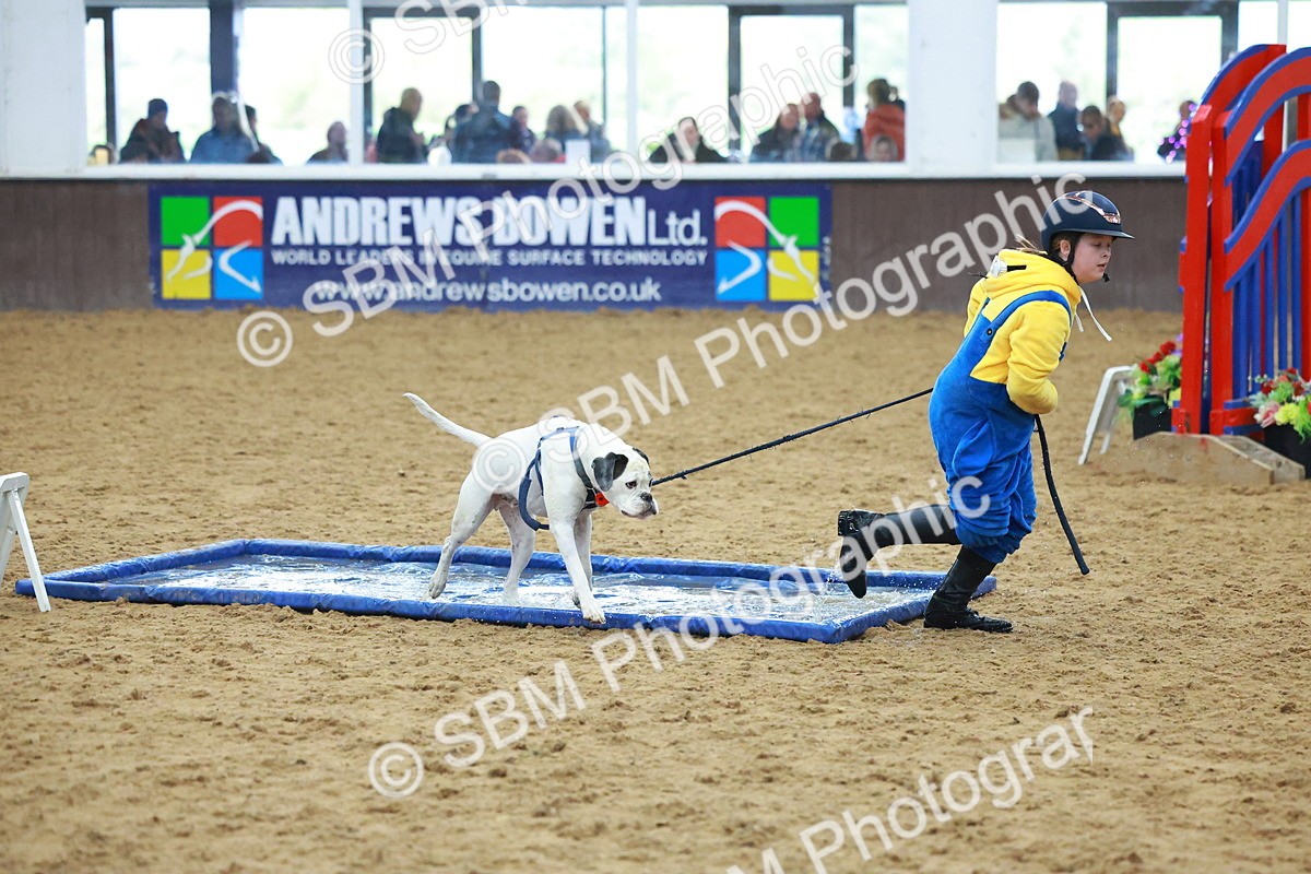 SBM_002306 - Class 3 - Horse & Hound (60cm)