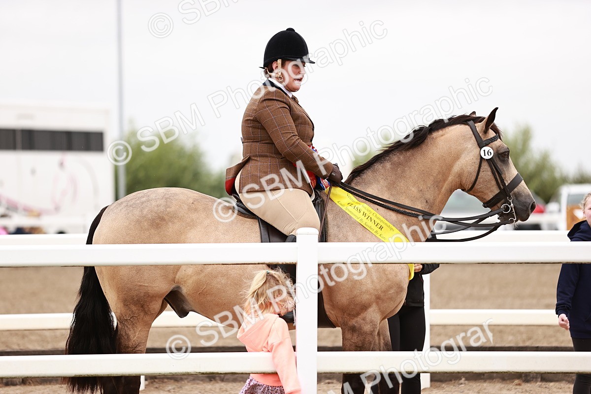 SBM_19099 - Class 422 - Ridden M&M