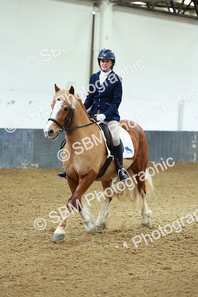 SBM_003628 - Novice 2