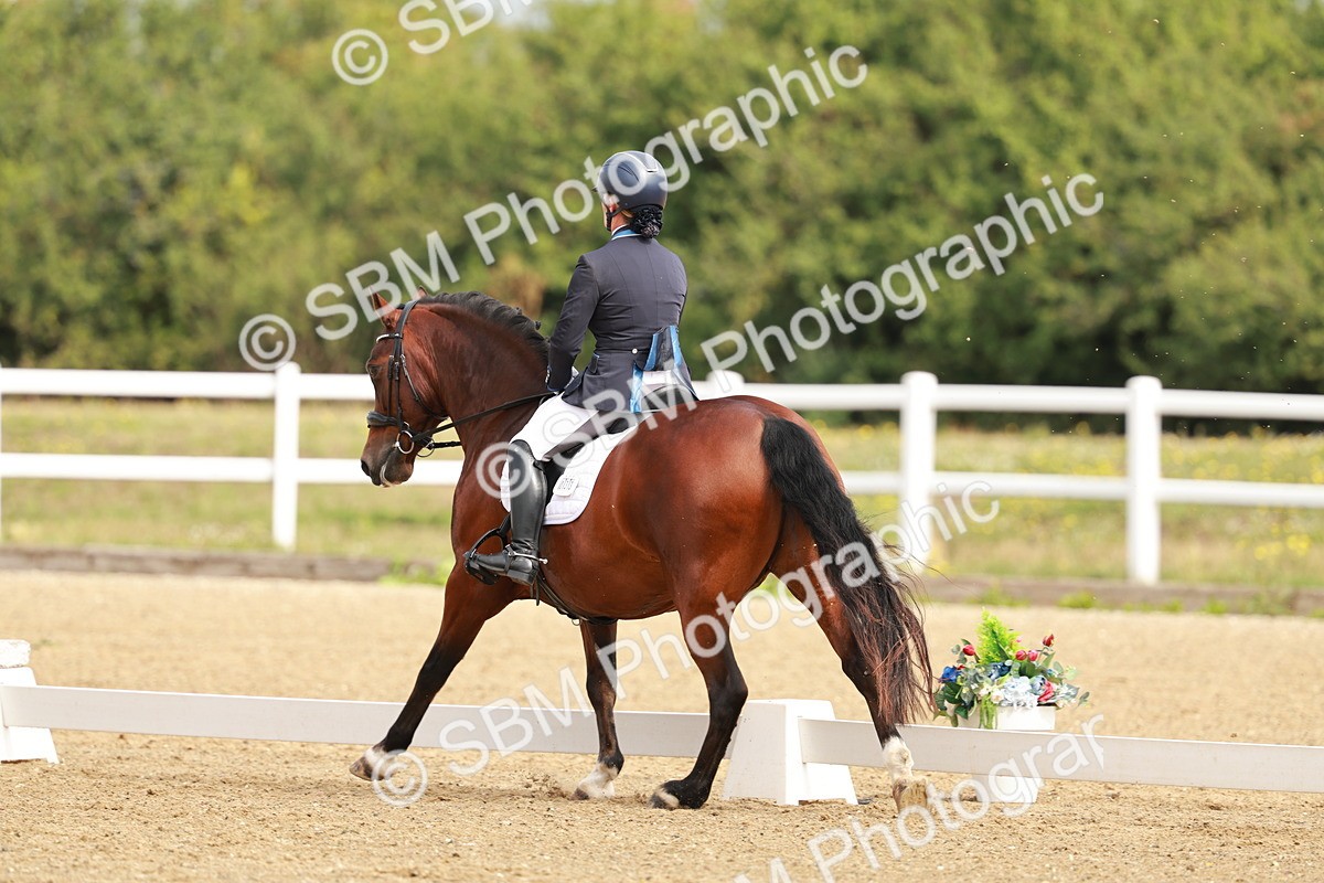 SBM_009003 - Class 12 - Elementary 6 - 9.30-10.34