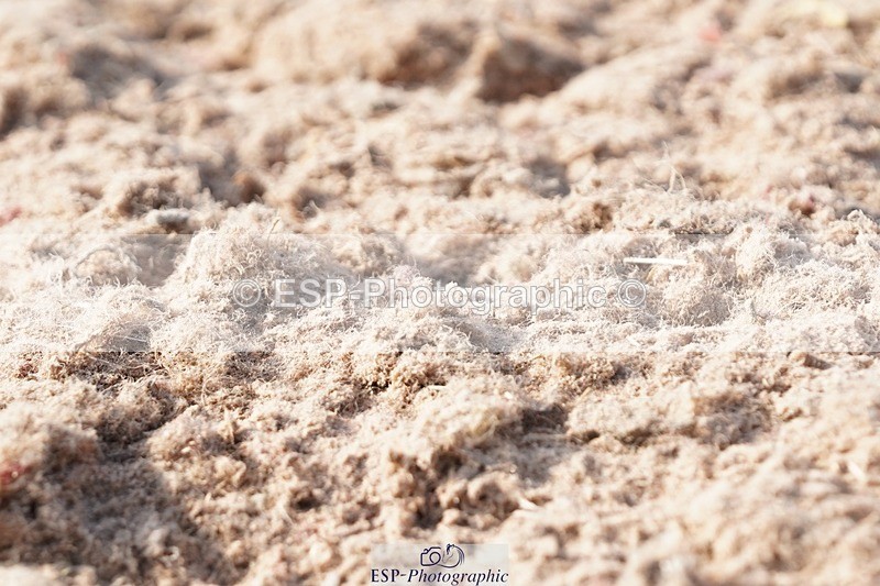 250621-175300-10364 - RoR Cls 6c-6b Novice