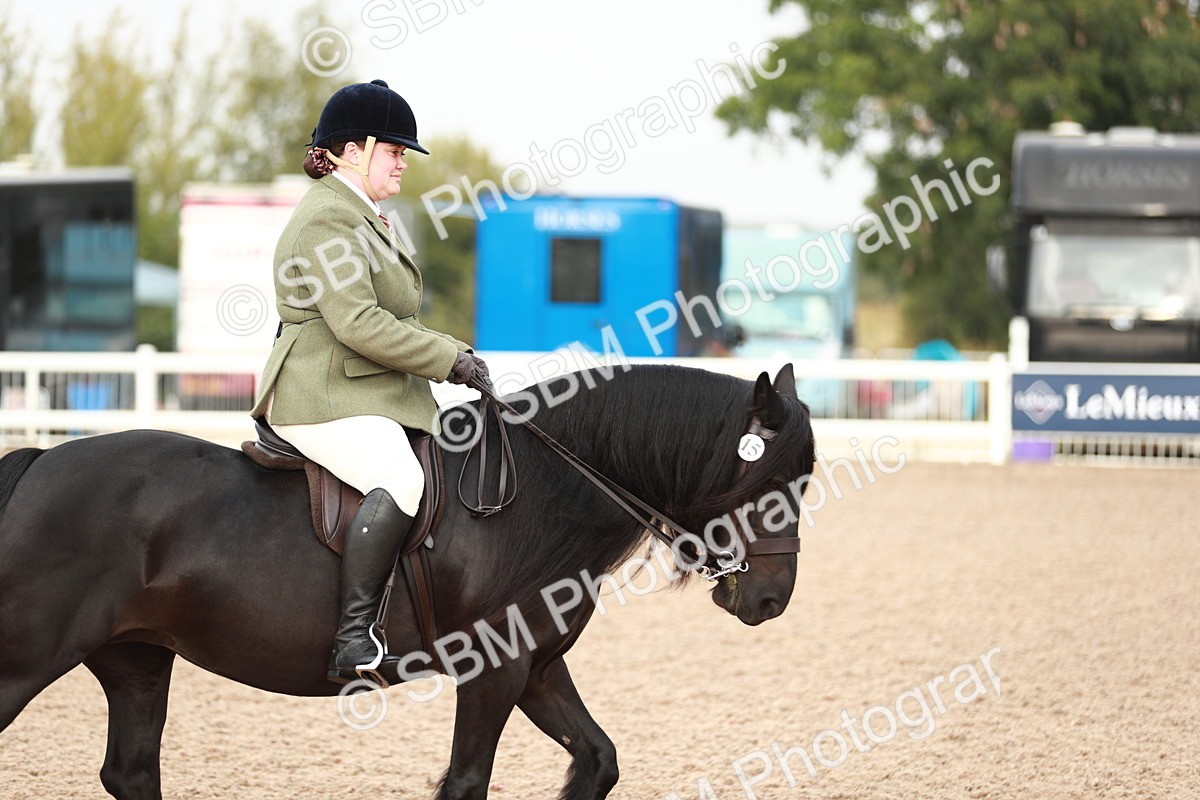 SBM_09405 - Class 202 Best Turned Out Ridden