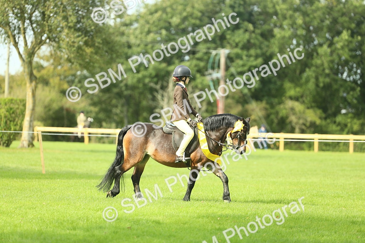 SBM_44878 - Working Hunter Pony Supreme Championship
