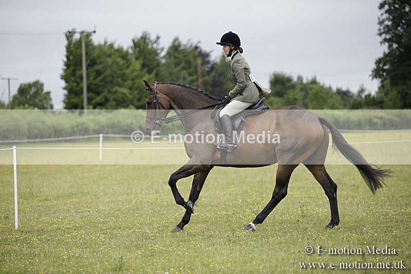 BVR160717-813 - Ring 1 BVRC Show 16/07/17