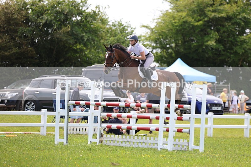 3E7A1416 - Class 12: Senior Foxhunter/1.20 open