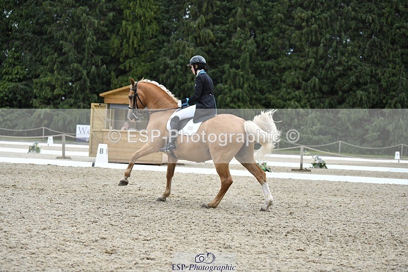 230812-142728-04701 - Cls 7 FEI PSG Bronze