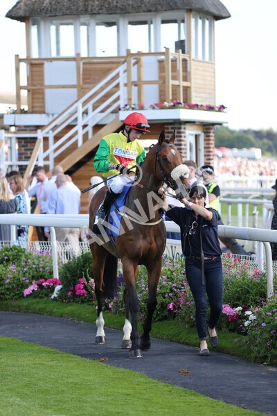 yr09072022r7-9 - Race 7 5.15pm John Smith's Sprint Stakes