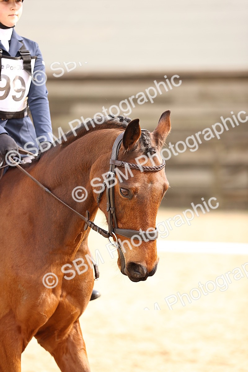 SBM_001653 - Class 11 - PC 70 DR Test