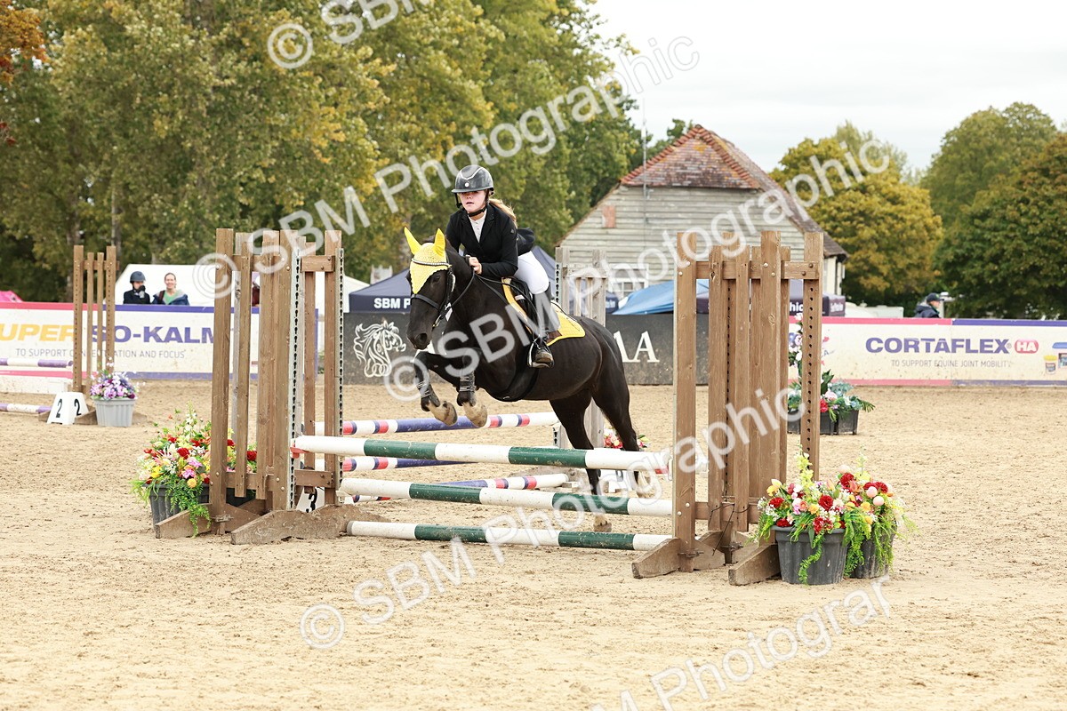 SBM_67113 - J13 - Junior Pony 60cm Championship