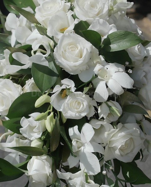  - WEDDINGS