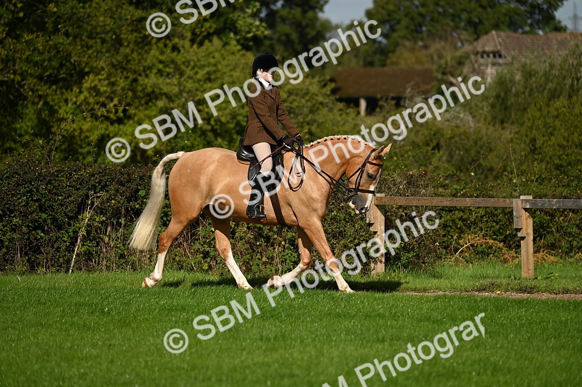 SBM_01380 - S2 - TSR Ridden Horse Showing