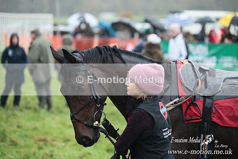 PtP 091125  0245 - Point-to-Point Wales Area Club Lower Machen, Gwent 09/11/25