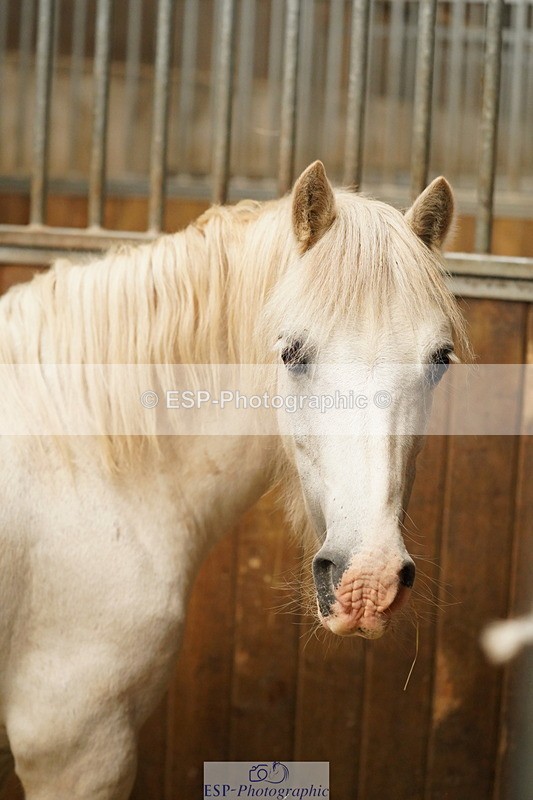 240809A-134756-01032 - Stable Shots