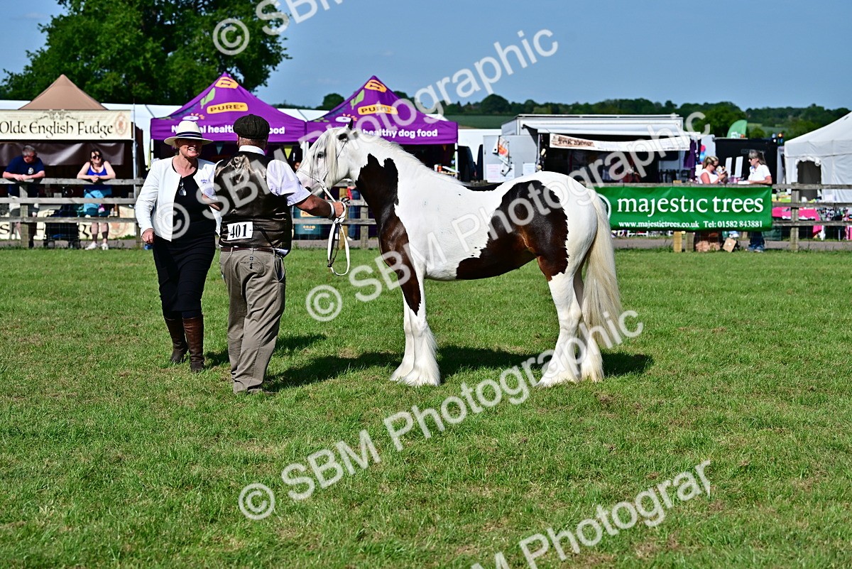 SBM_10033 - Class 63-65 - Traditional Gypsy Cobs In Hand & Ridden