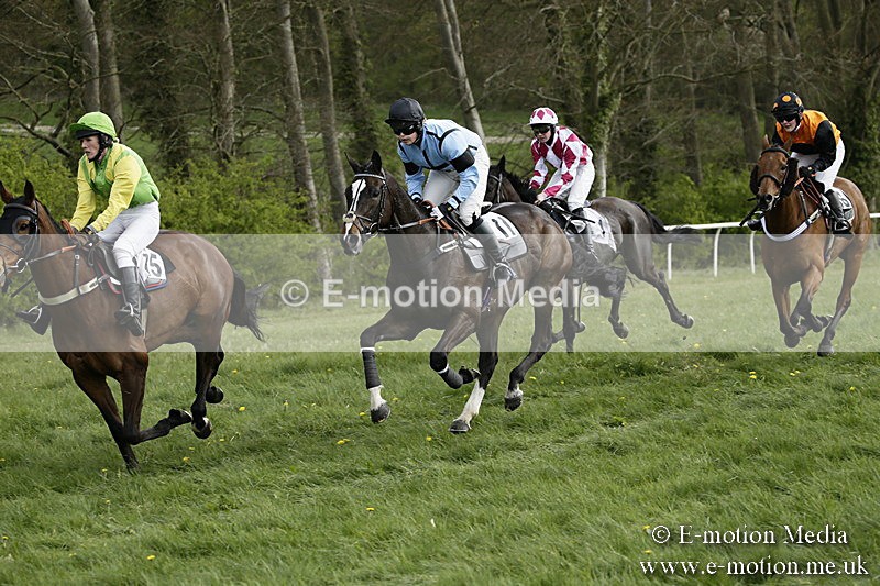 PtP 170417 334 - Old Berks Point-to-Point Lockinge 17/04/17