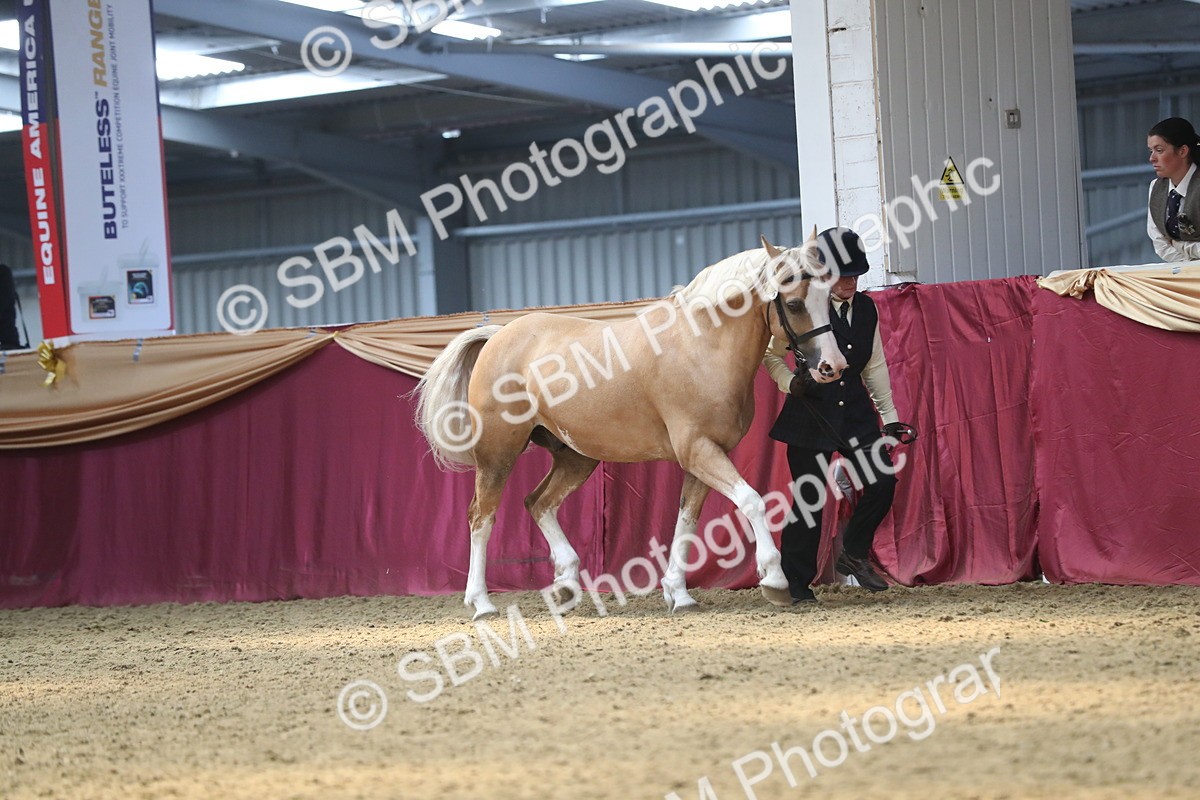 SBM_15233 - Class 501 M&M IH Supreme Final