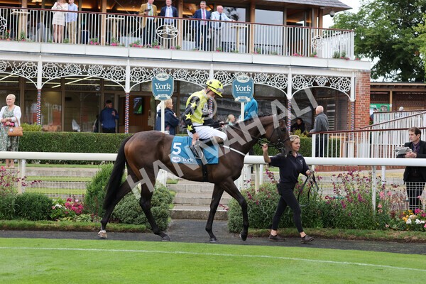 yr22072022r2-14 - Race 2 5.50pm eventmasters.co.uk Stakes