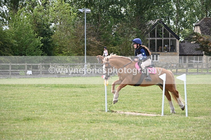 WJ6_6942 - 80cm XC Pairs