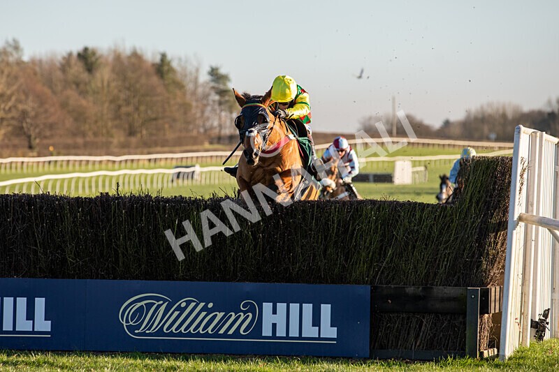 221124-Race 4-Duke Of Luckley--8567 - Race 4