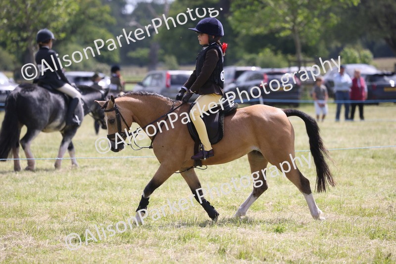 20260614-1903 - Class 21 - Novice Working Hunter Pony