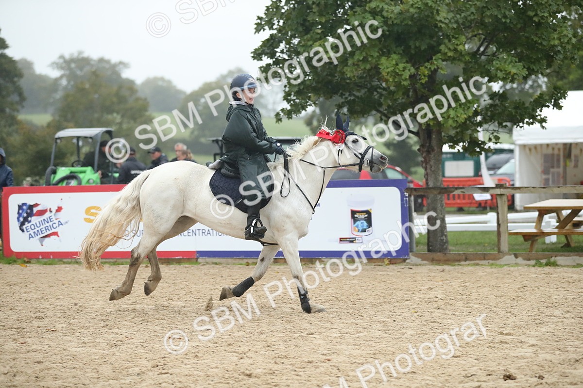SBM_74364 - Supreme championship Junior Pony 70cm 75cm