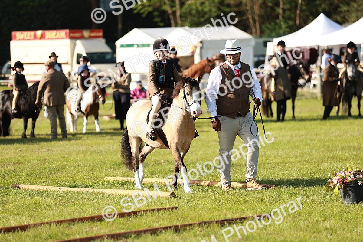 SBM_11082 - Class 106-107 - BSPS LIHS Working Sports Pony