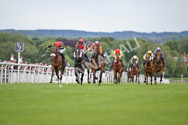 290524-Race 7-Lincoln Rockstar-6931