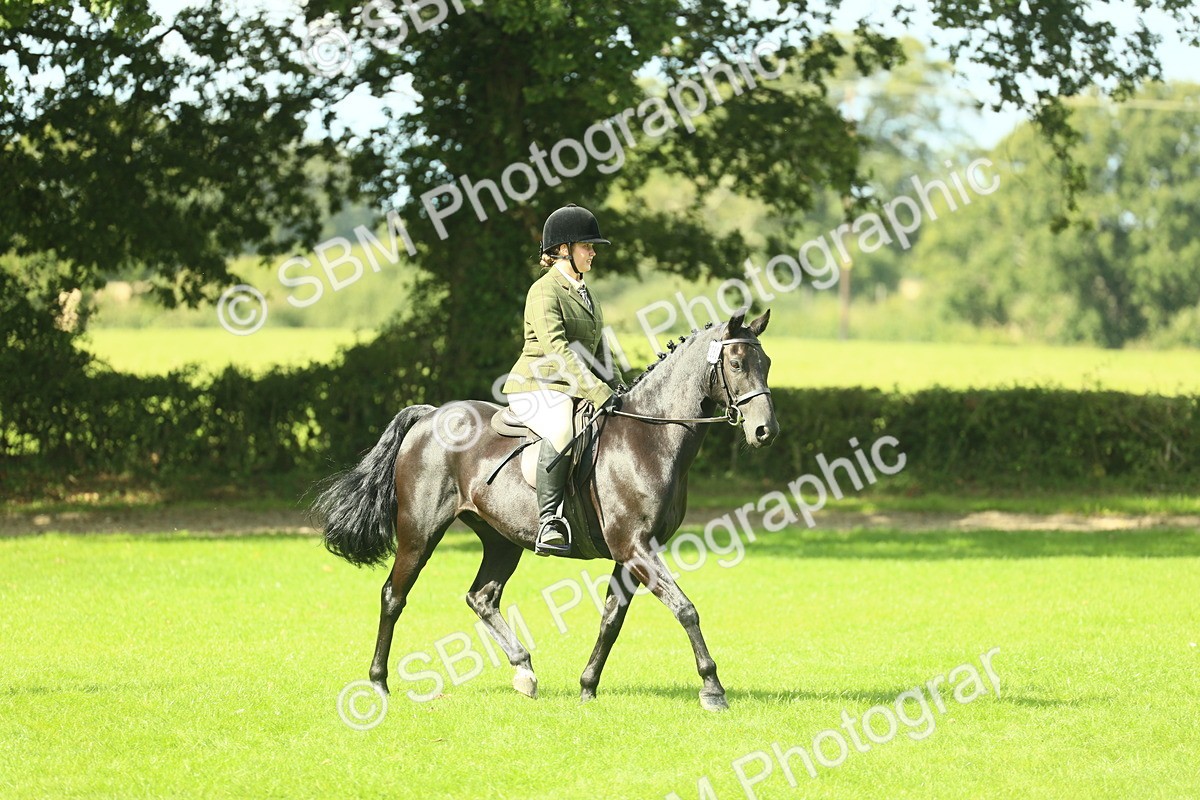 SBM_42053 - S29 - Novice & Newcomers Working Hunter Pony