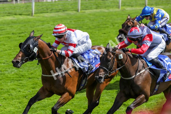 290723-Race 2-Aberama Gold-3828 - Race 2 2.40pm Sky Bet Dash Handicap