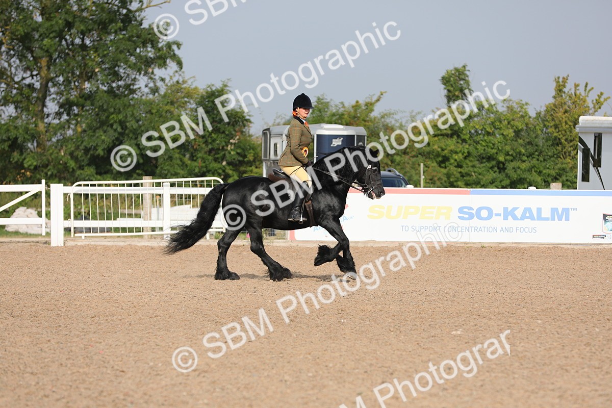 SBM_10185 - Class 302 Ridden M&M -Large Breeds