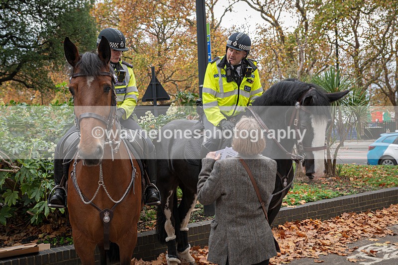 Z62_4538 - Animals In War Memorial 2025 - Park Lane, London