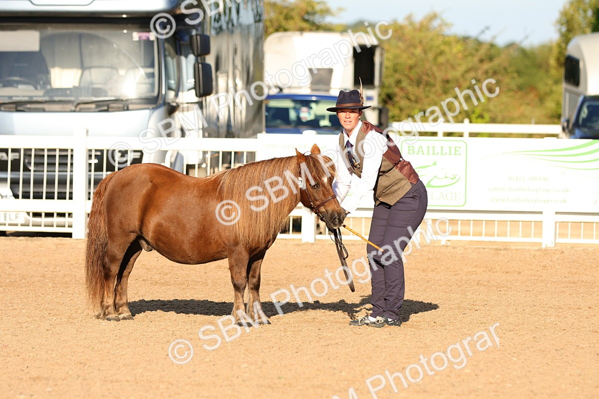 SBM_07995 - Class 201 - Best Turned Out - IH