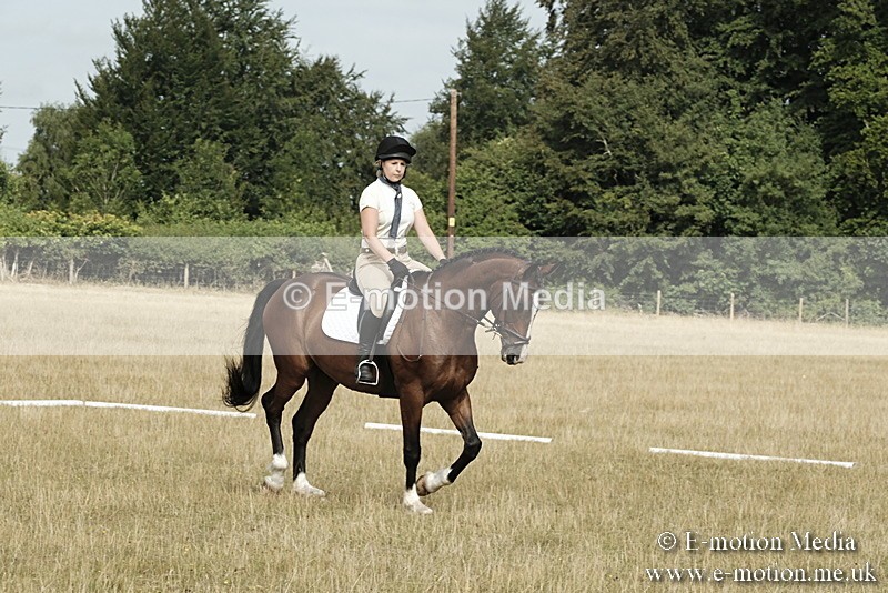 _PJP5685 - Dressage Classes BVRC Show 2018