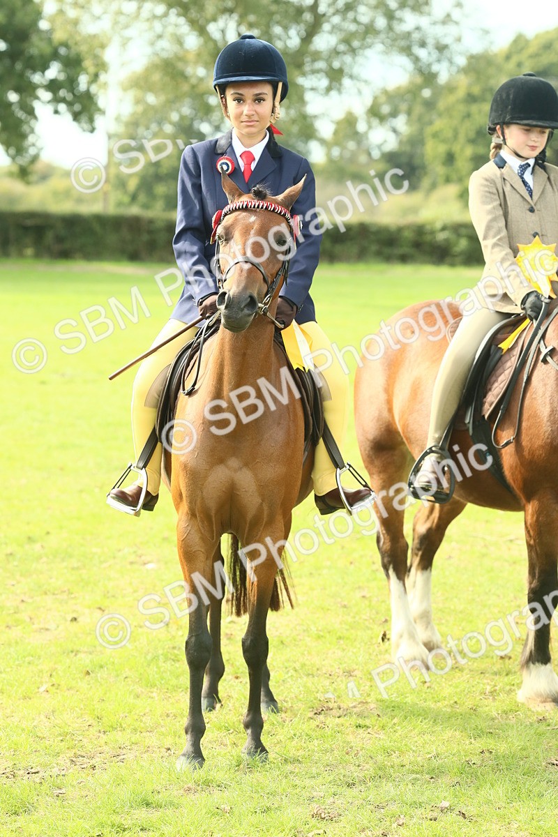 SBM_68161 - S57 - Part Bred Pony Ridden